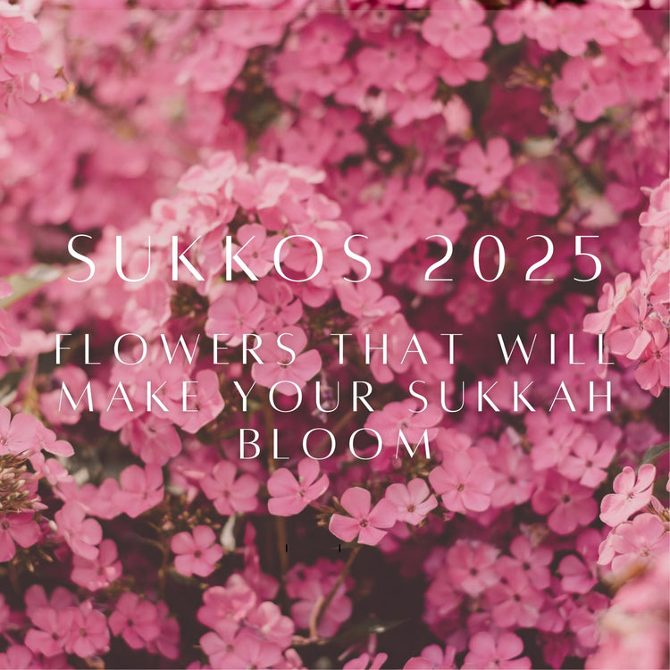 Sukkos