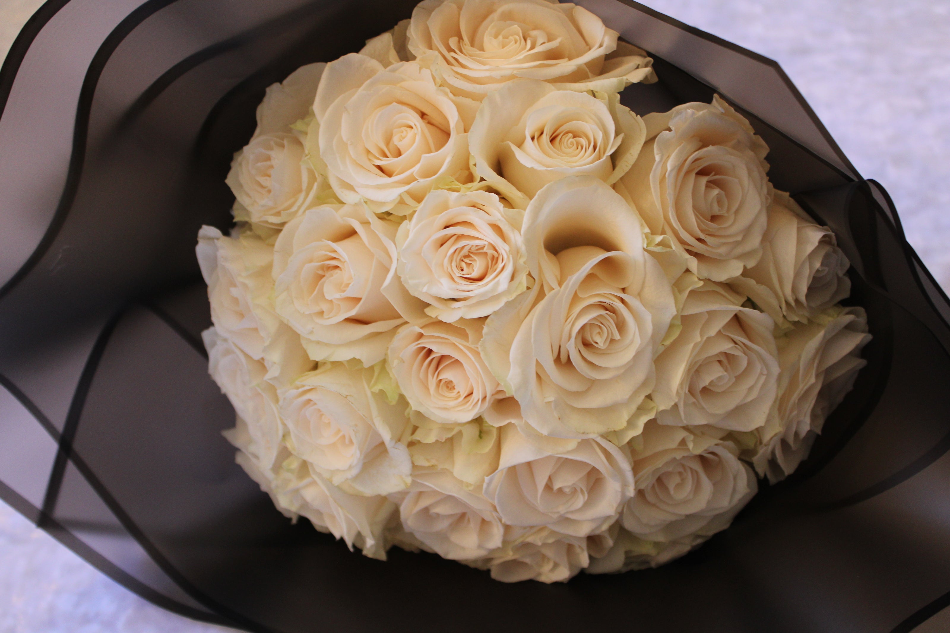Two dozen rose proposal bouquet wrapped with elegant black plastic