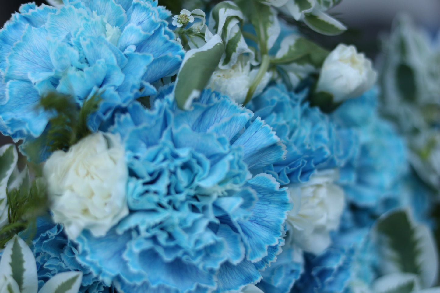 It's a Boy!