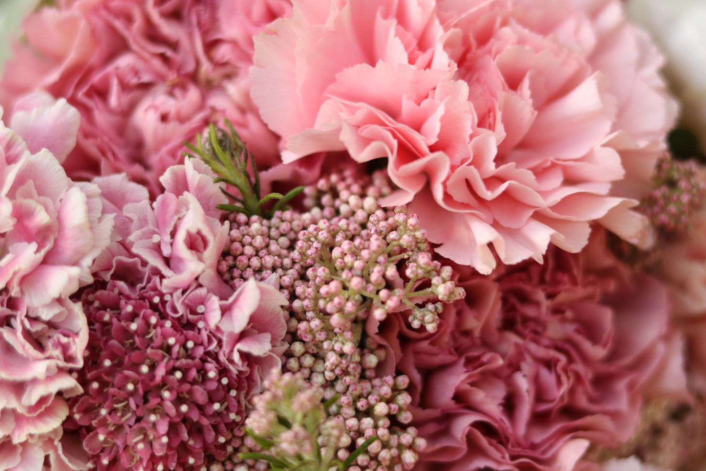 Pink Party