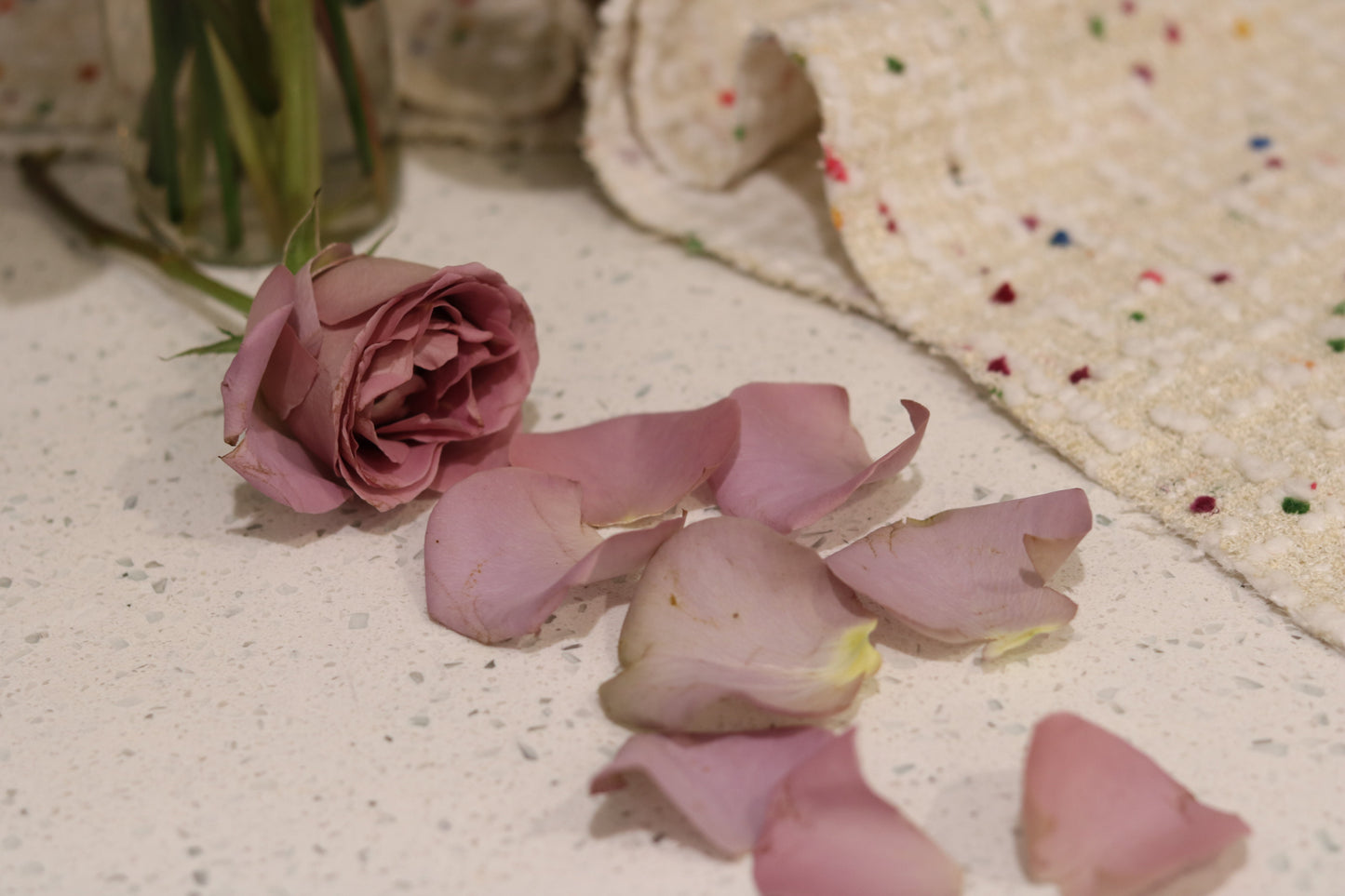 purple-rose-petals