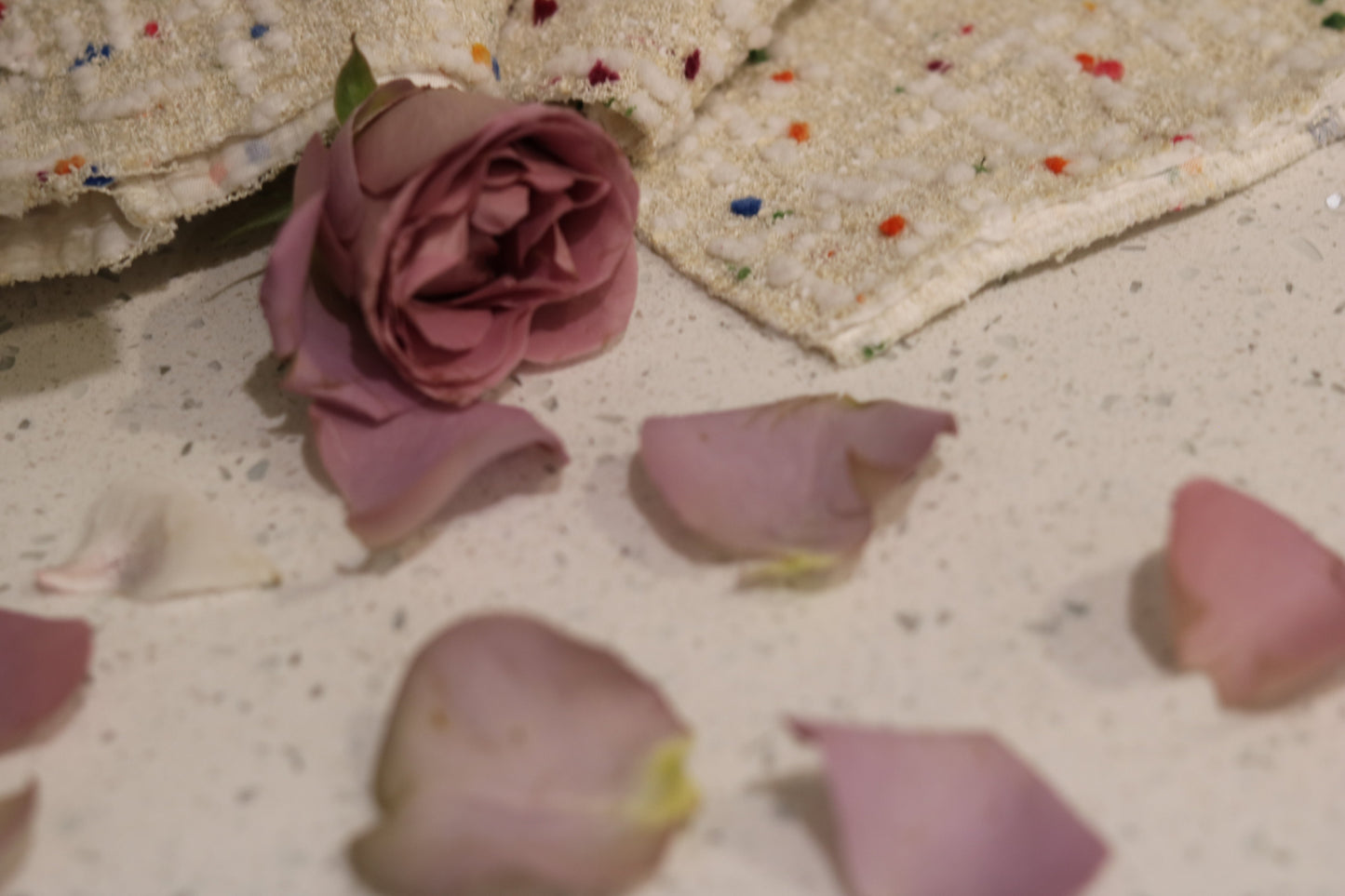 purple-rose-petals