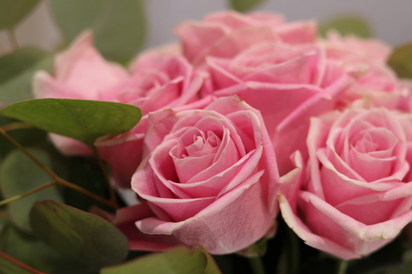 vivid-pink-pastel-roses-bouquet-love