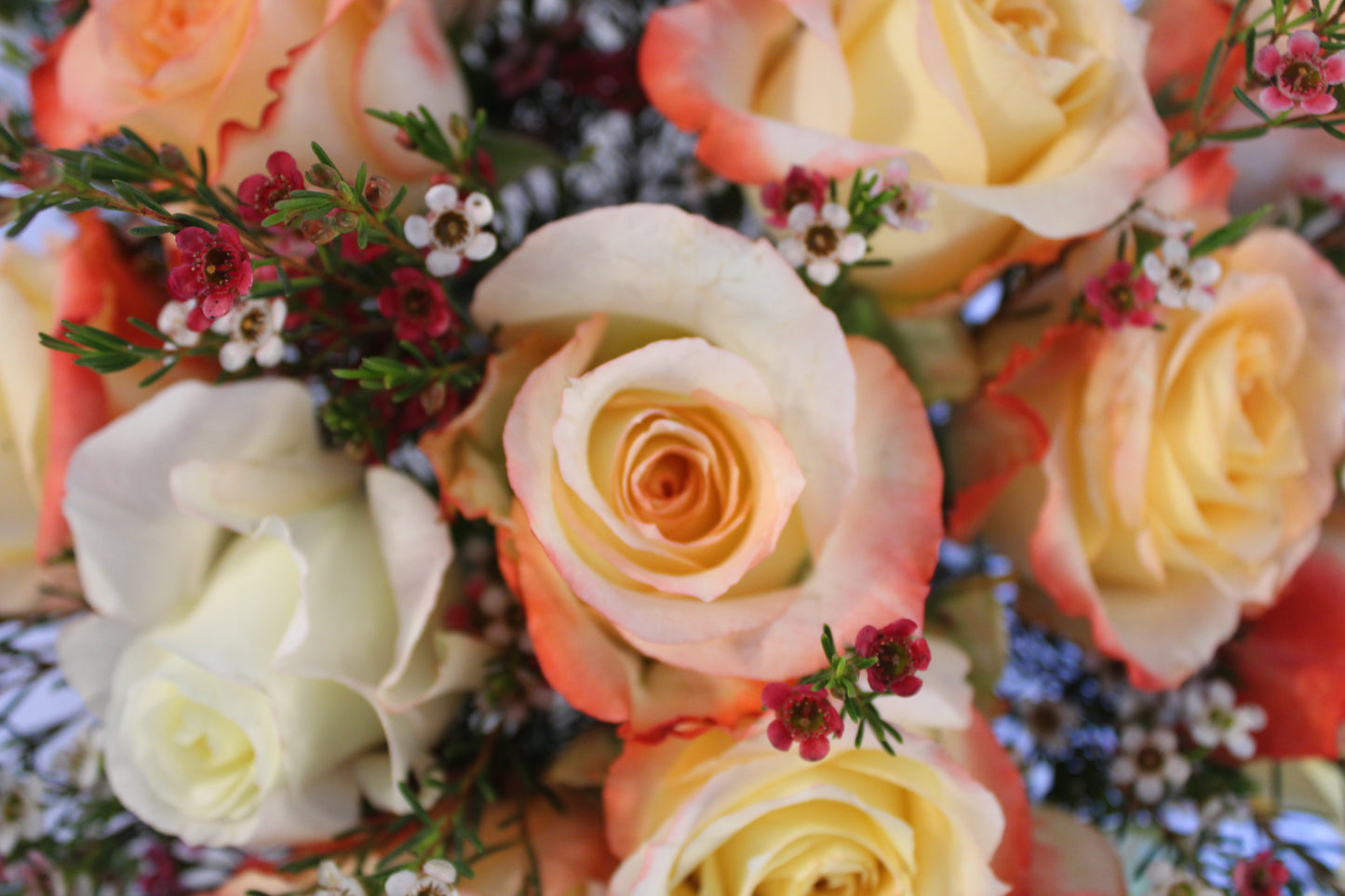 Beautiful spiral round flower arrangement with cabaret roses and pink and white wax flower