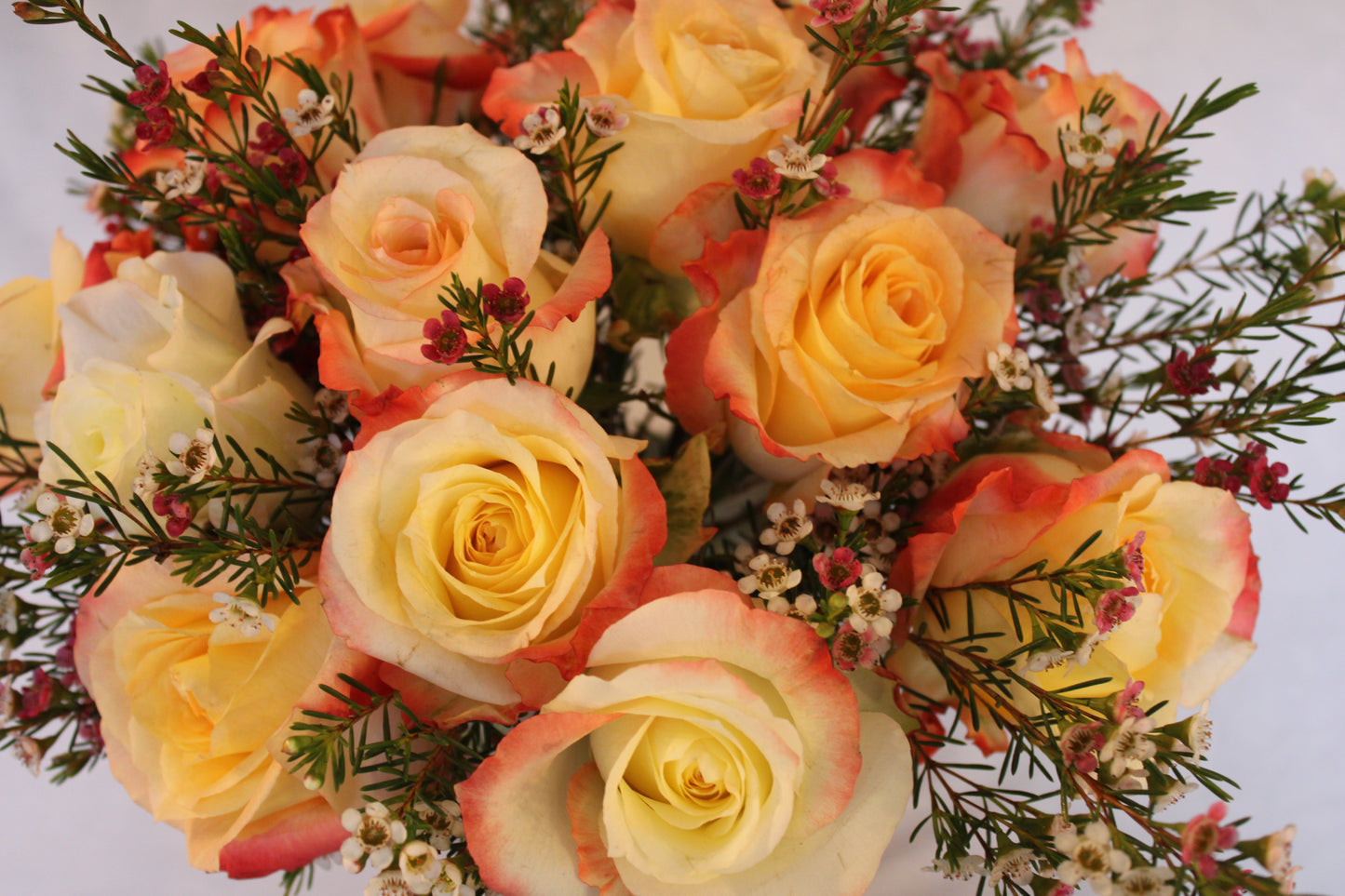 Beautiful spiral round flower arrangement with cabaret roses and pink and white wax flower