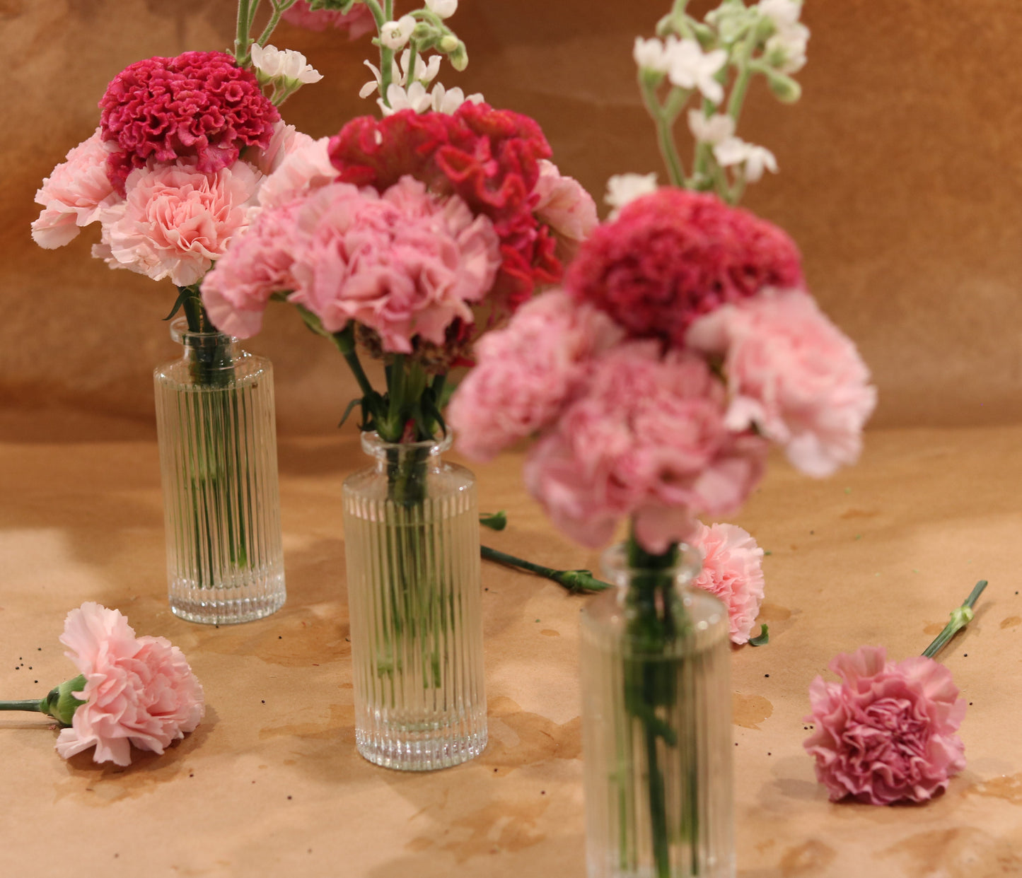 Frilly Pinks