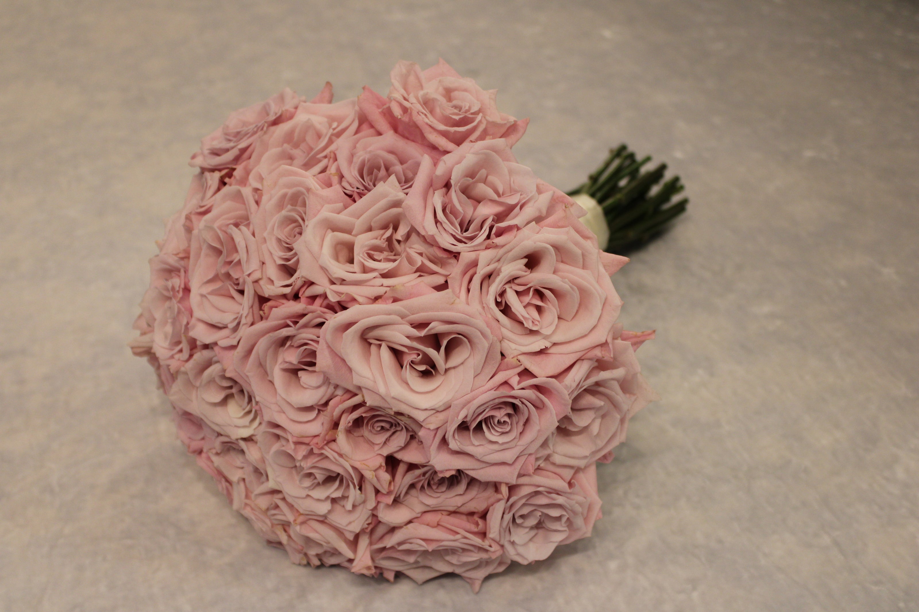 round, modern-style proposal bouquet featuring 3 dozen soft pink Sweet Eskimo roses