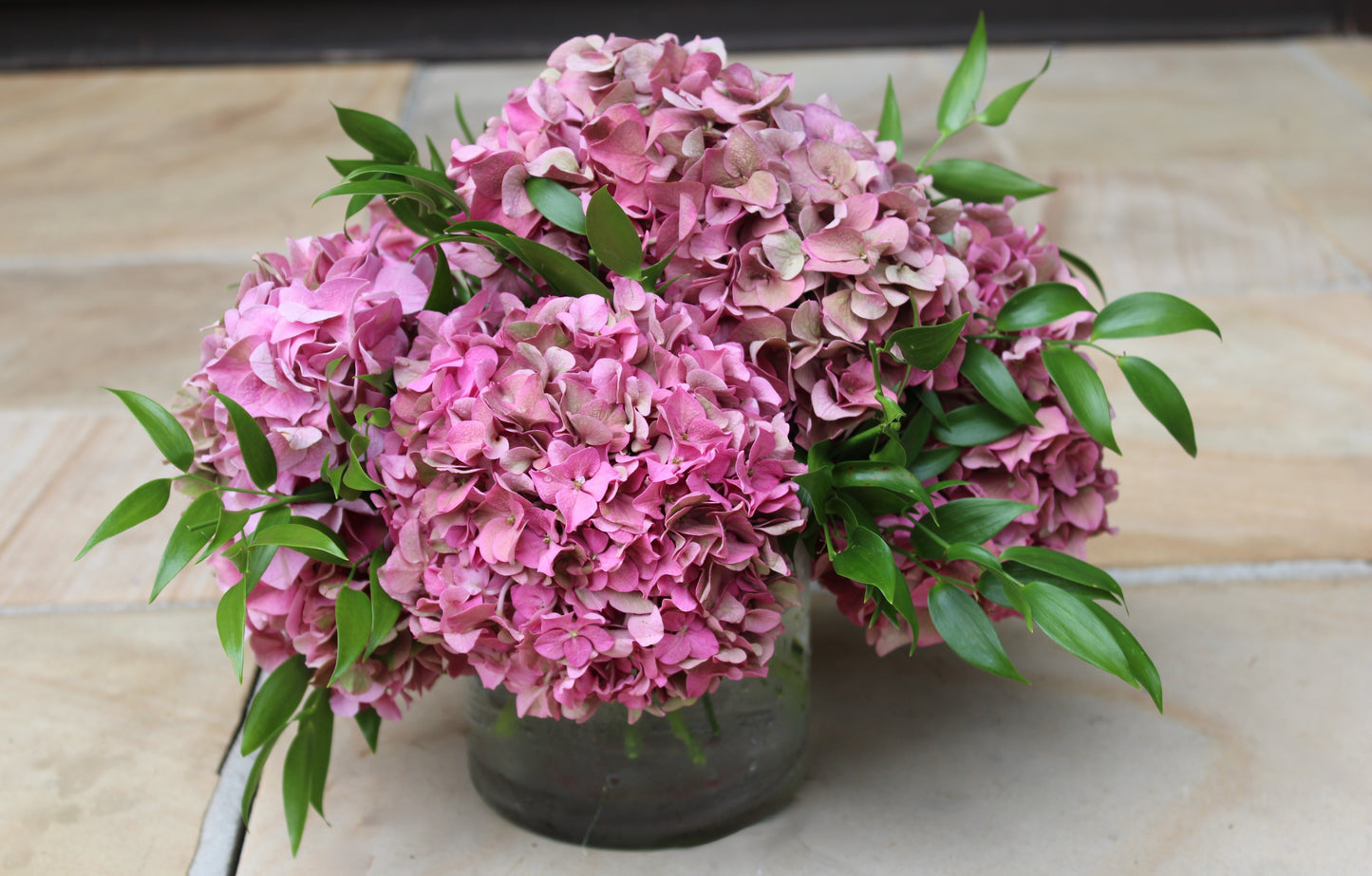Hydrangea Heaven