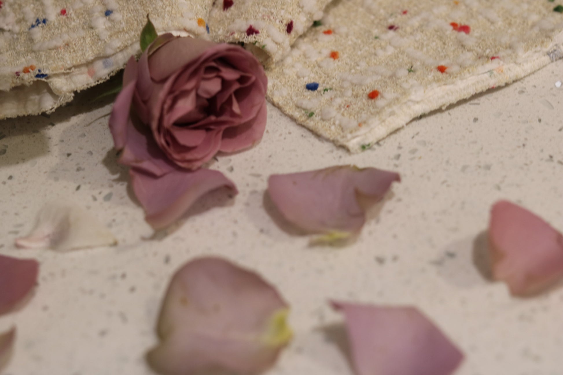 purple-rose-petals
