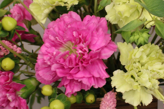 Petal Pop