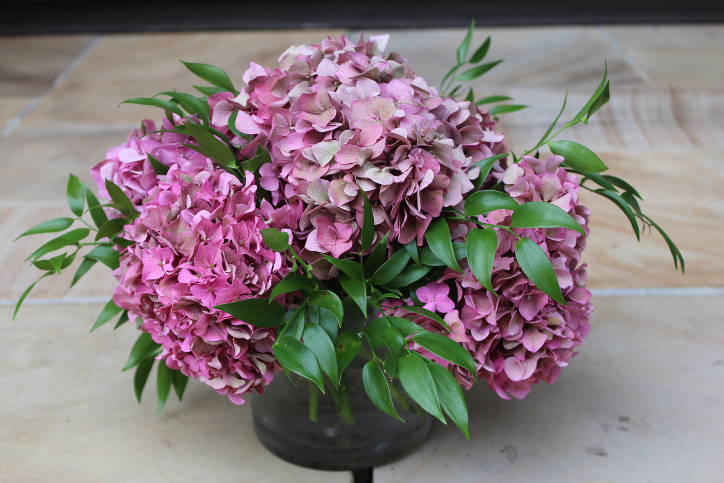 Hydrangea Heaven